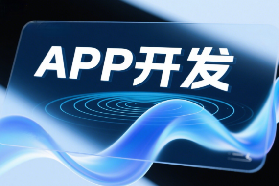  提供APP功能定制与开发对接服务